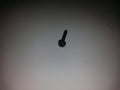 NEW OEM BMW 07119907802 Fillister head self-tapping screw