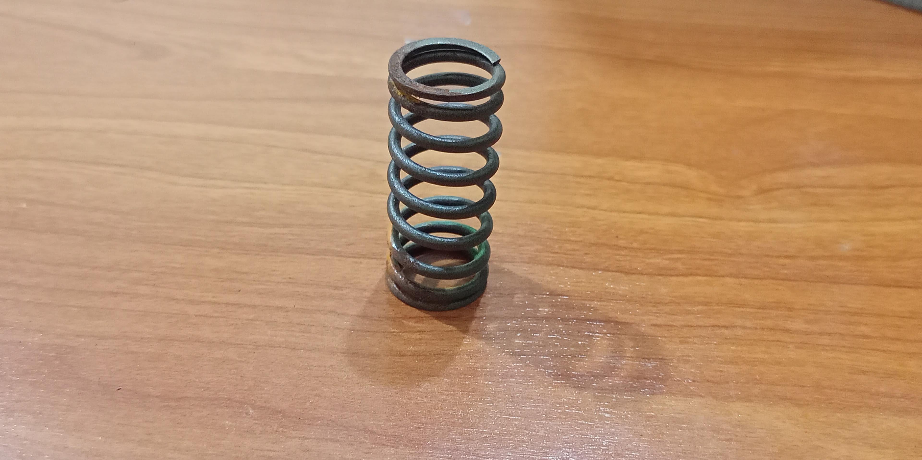 BMW E28, E30, E34, Z1 Inner Valve Spring 11341706584 GENUINE