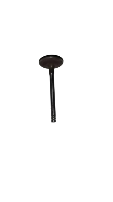 BMW E28, E30, E34, Z1 Intake Valve 11341710765 GENUINE