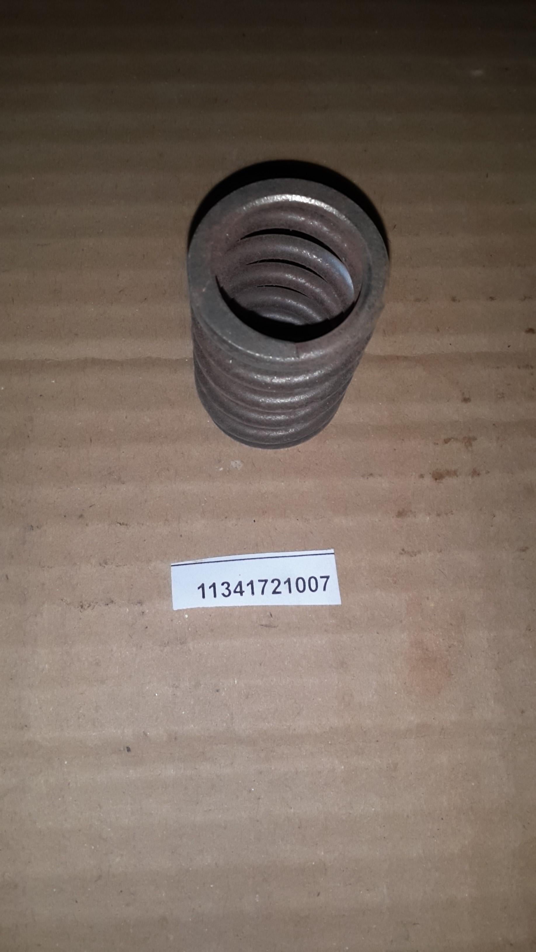 BMW Valve Spring 11341721007 GENUINE