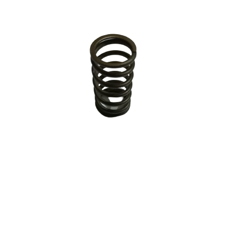 BMW Valve Spring 11341726473 GENUINE