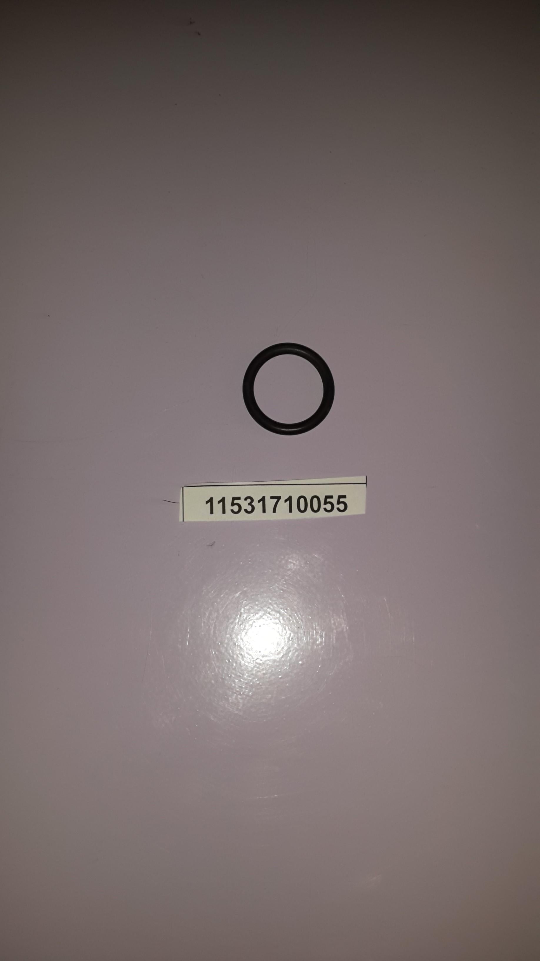 BMW O-Ring 11531710055 GENUINE