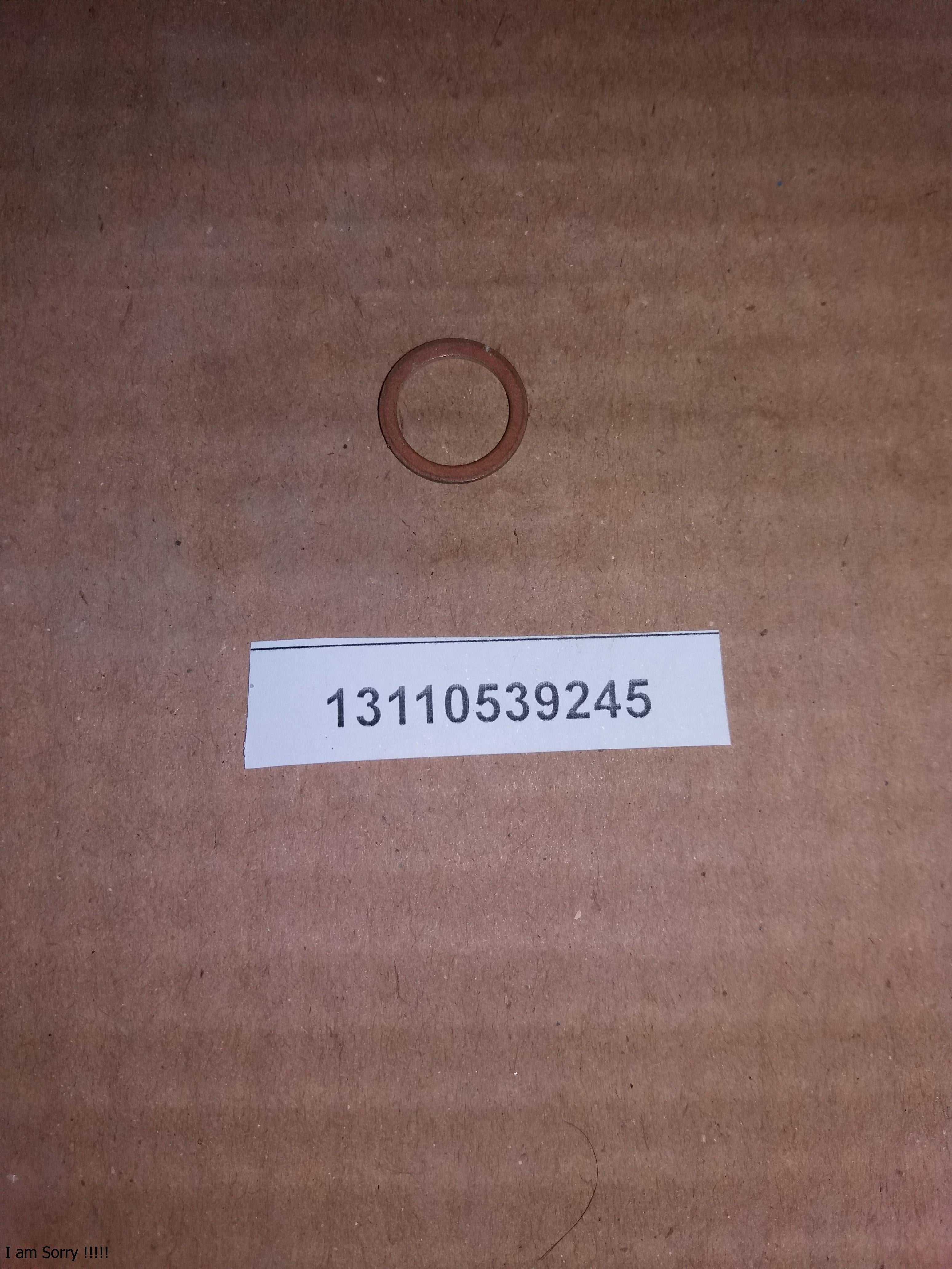 BMW Gasket Ring 13110539245 GENUINE Set Of 5