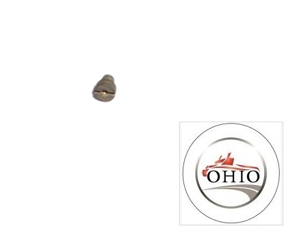 NEW OEM BMW 13111253055 MAIN JET