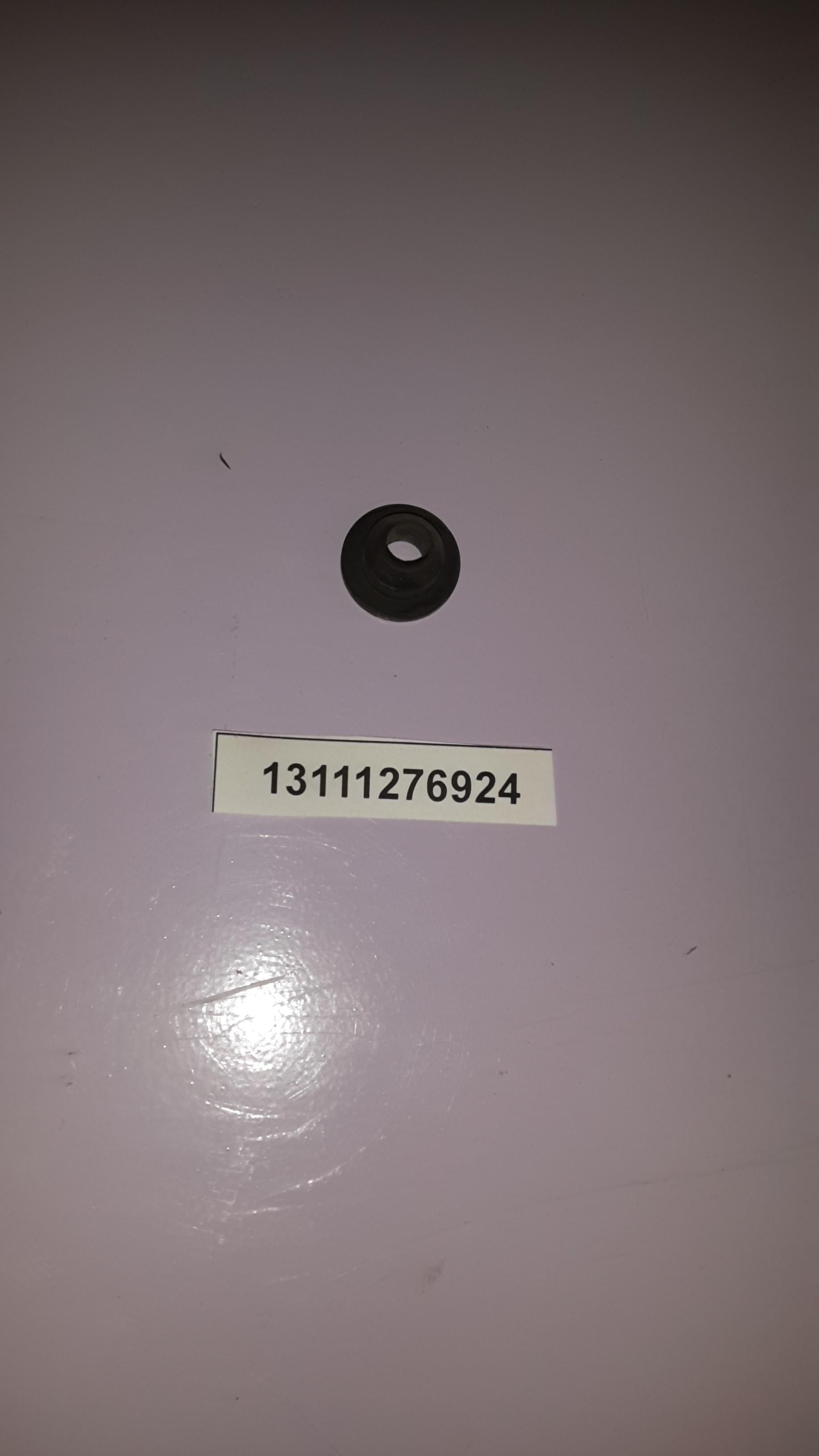 BMW 13111276924 Bush