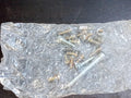 BMW E28, E30 Screws Repair Kit 13111289936 GENUINE