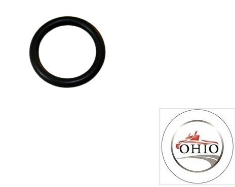 BMW O-Ring 17111711987 GENUINE