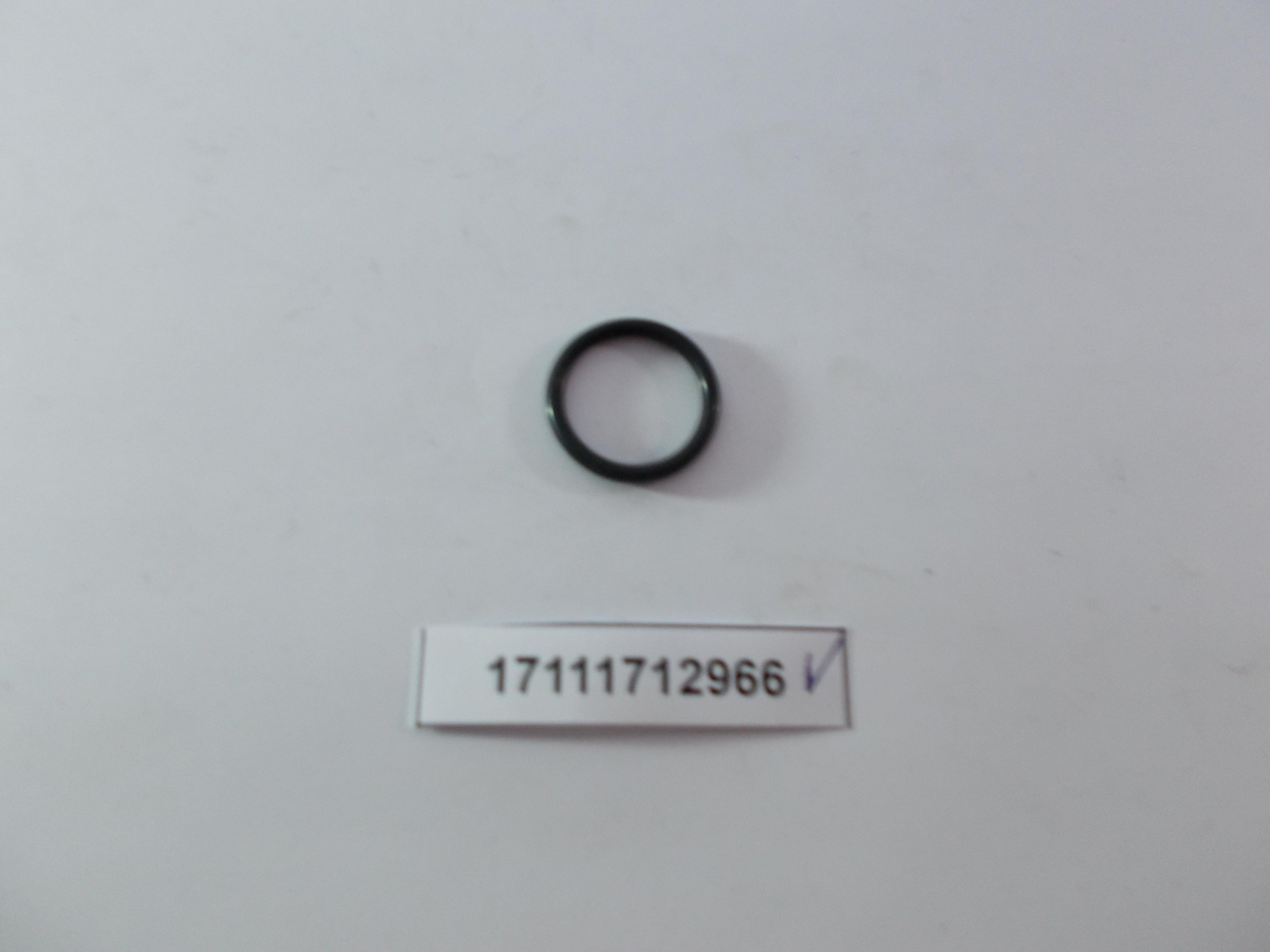 BMW 17111712966 Gasket Ring