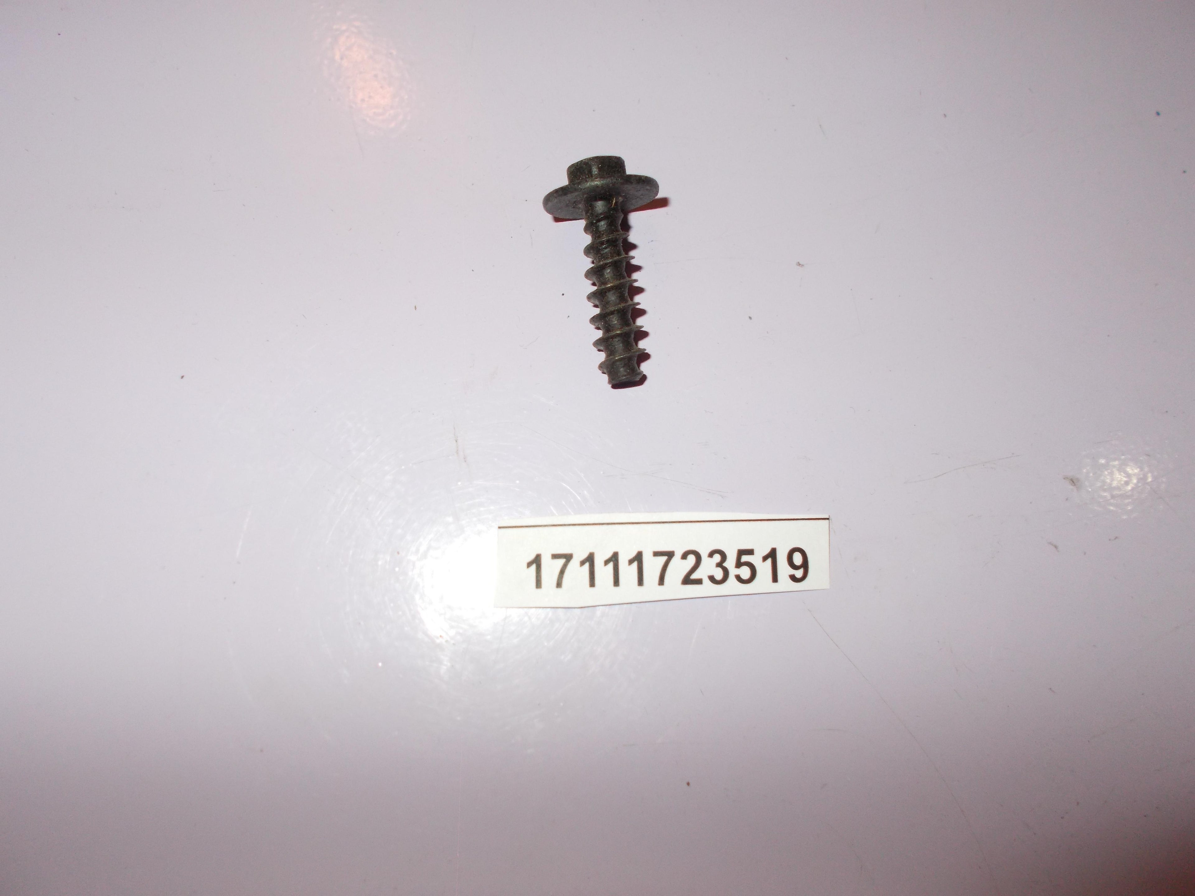 BMW Hex Bolt 17111723519 GENUINE