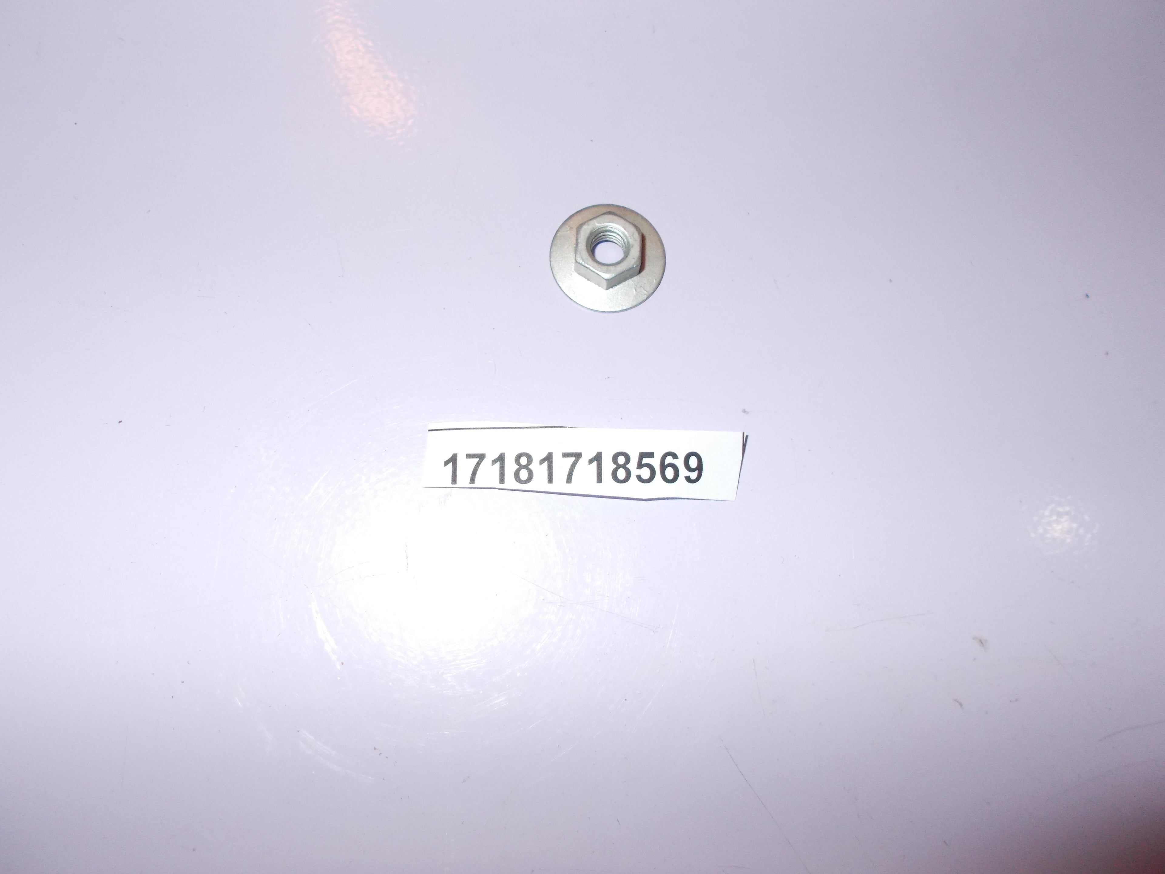 BMW Hex Nut With Plate 17181718569 GENUINE