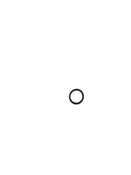 BMW O-Ring 23121490177 GENUINE