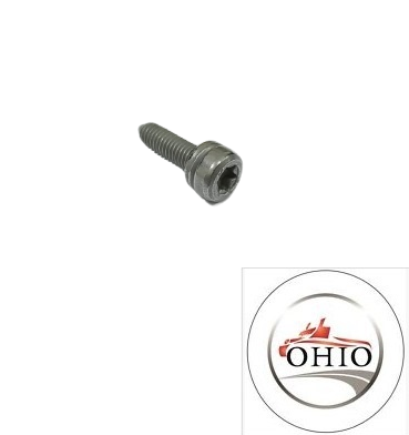 BMW Torx Bolt 24117552348 GENUINE