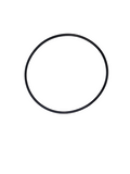 BMW E3 O-Ring 24231215448 GENUINE