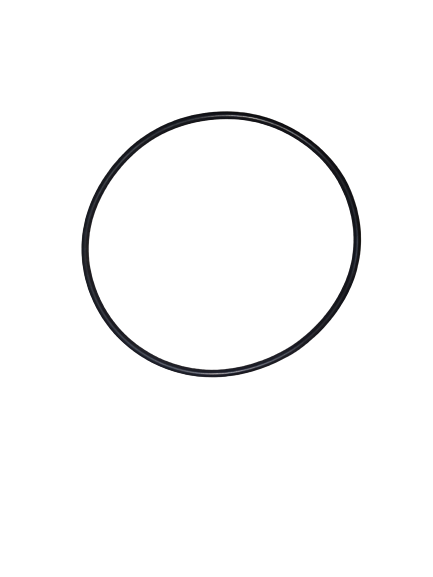 BMW E3 O-Ring 24231215448 GENUINE