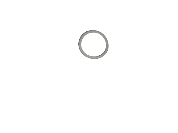 BMW E46 O-Ring GENUINE