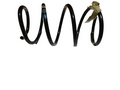 BMW Front Coil Spring 31336766840 GENUINE