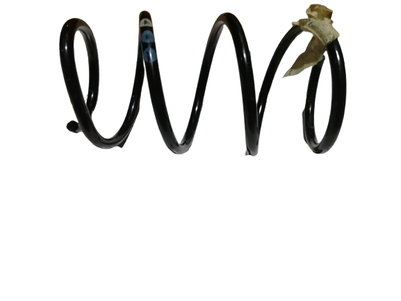BMW Front Coil Spring 31336766840 GENUINE