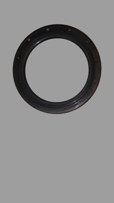 NEW OEM BMW 33411100599 Shaft seal