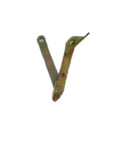 BMW E12, E21, E23, E24 Left Joint Link GENUINE