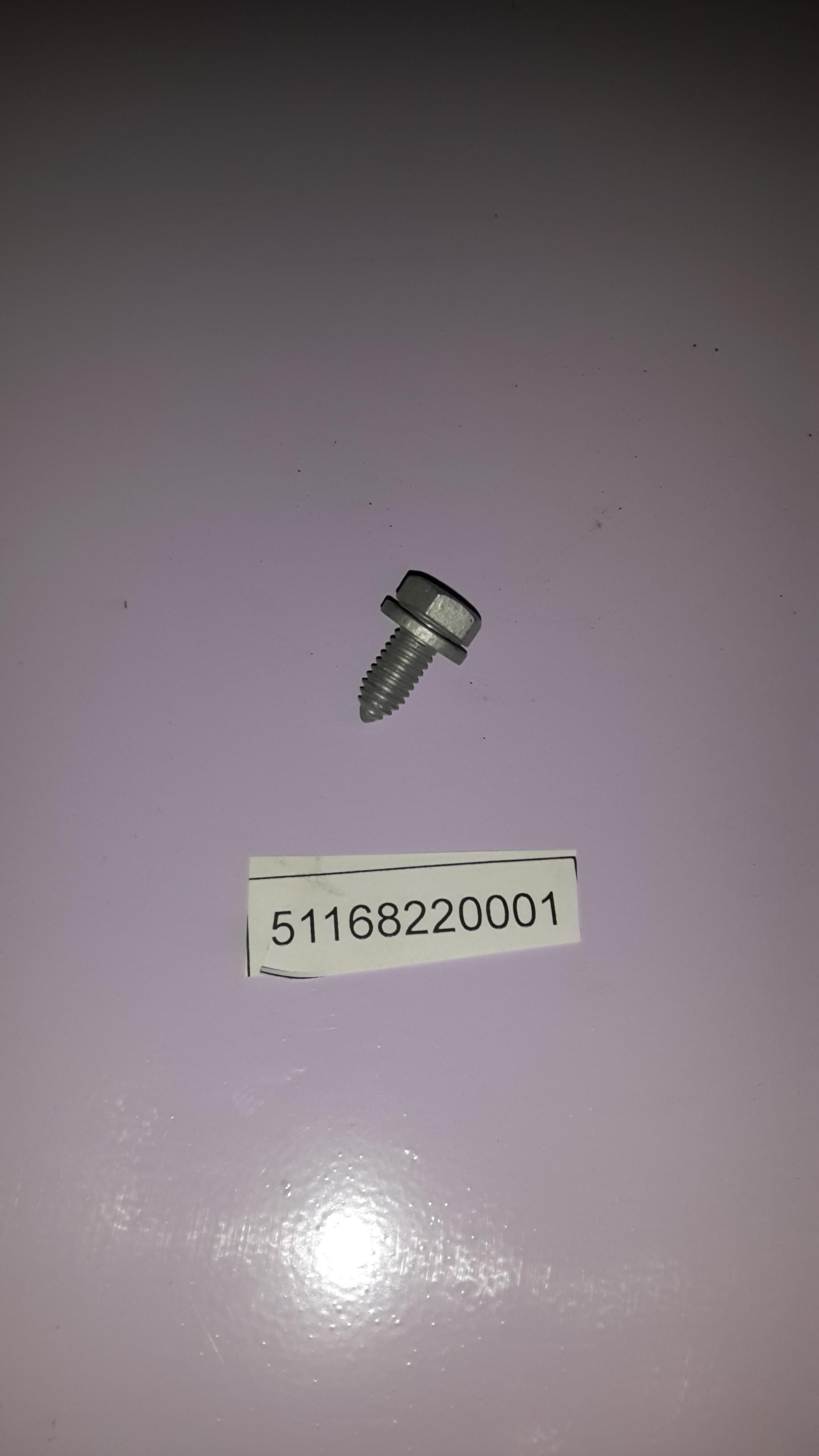 BMW 51168220001 Screw Self-Tapping