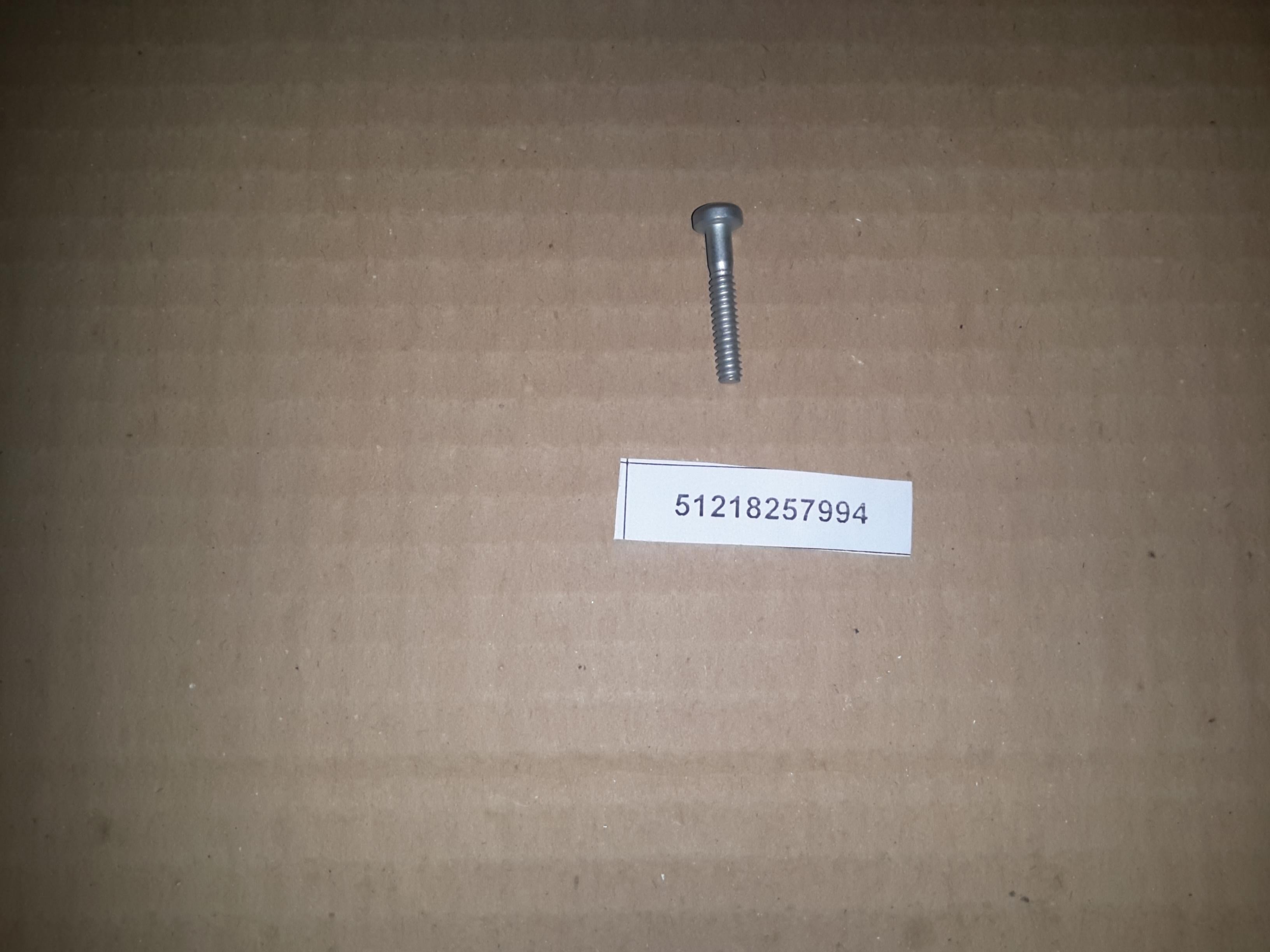 BMW Torx Bolt for Aluminum 51218257994 Genuine OEM