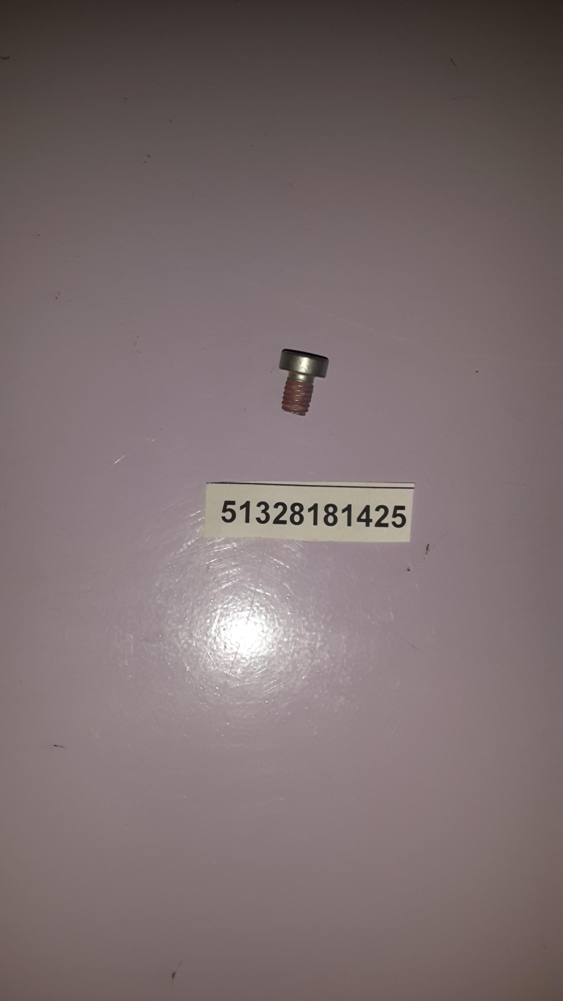 NEW OEM BMW 51328181425 Fillister-head screw