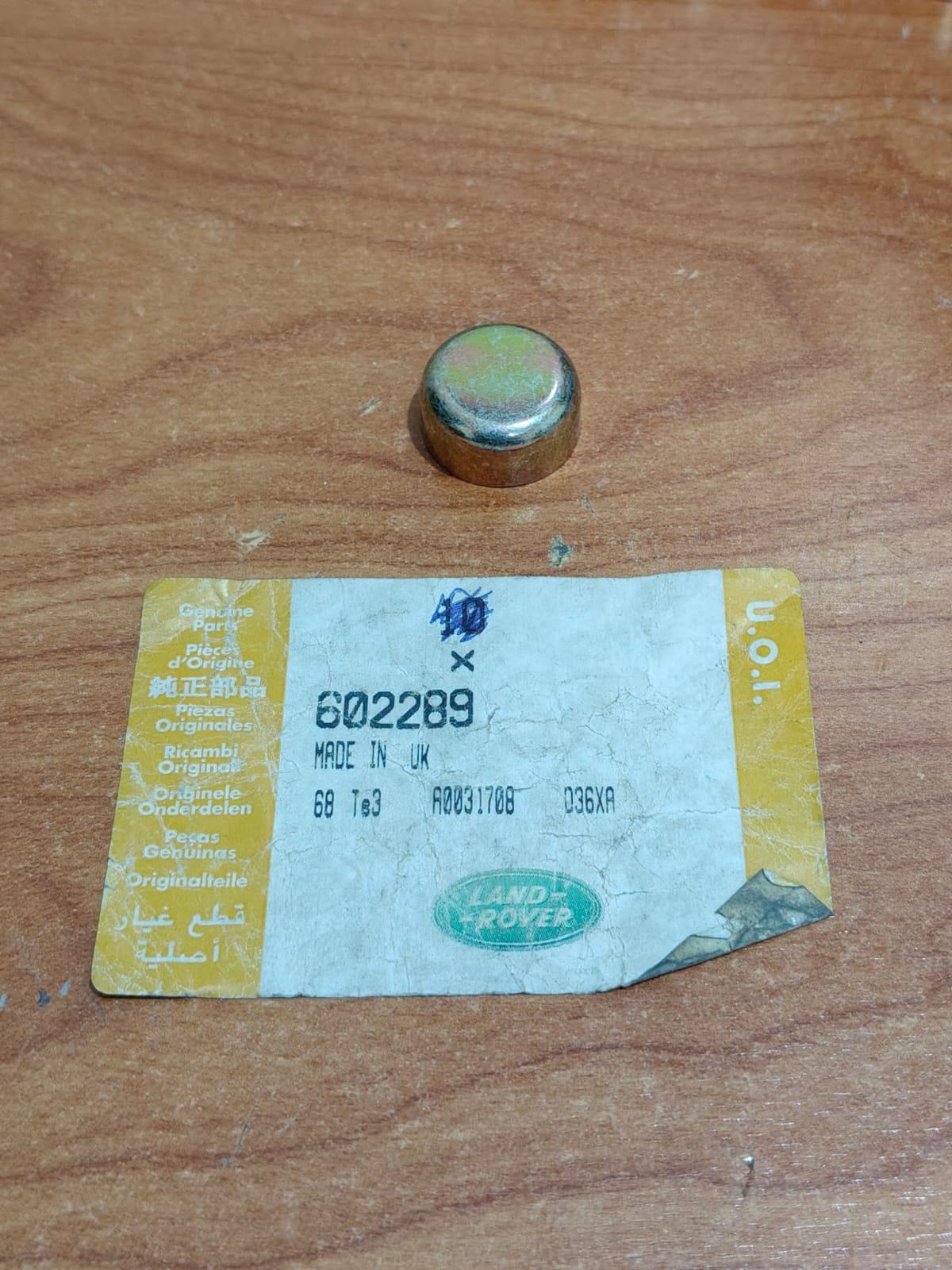 Engine Cylinder Head Plug 602289 For Land Rover Discovery