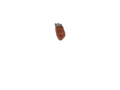 BMW E36 Bulb GENUINE