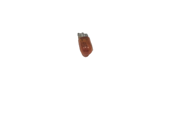 BMW E36 Bulb GENUINE