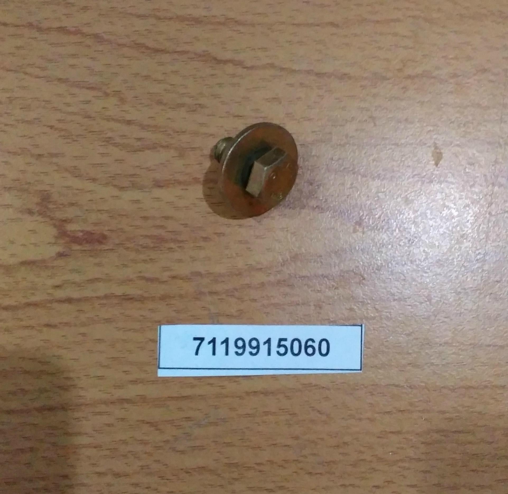 BMW Hex Bolt With Washer 07119915060 GENUINE