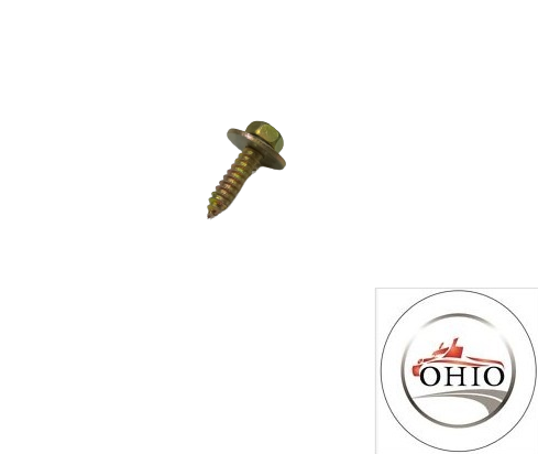 BMW Screw For Thermoplastic Plastics 07129900239 GENUINE