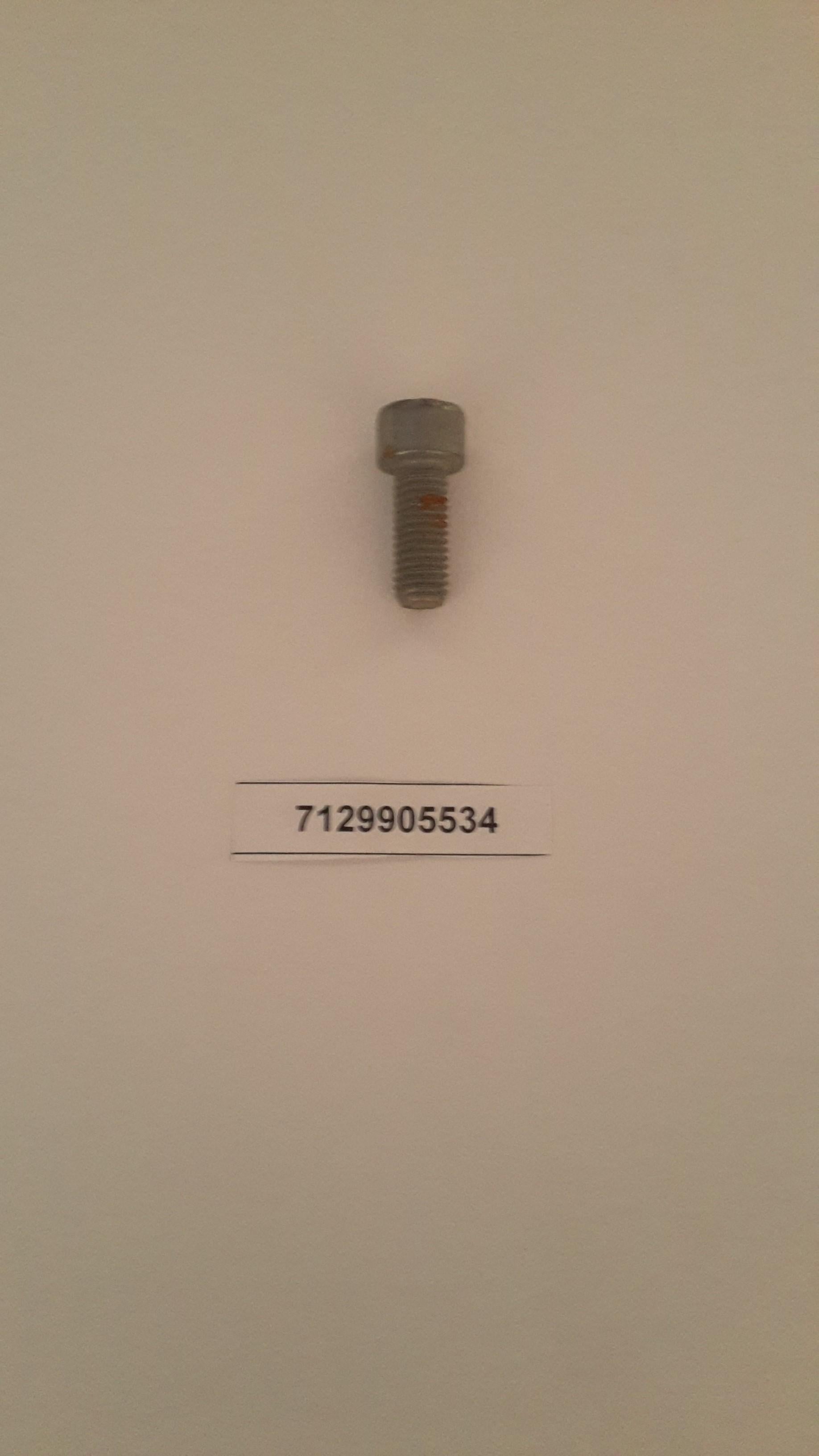 BMW Fillister Head Screw 07129905534 Genuine OEM
