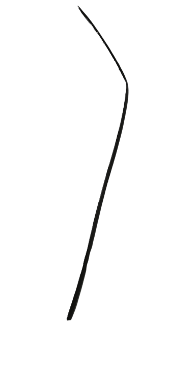 Mercedes-Benz W124 Drip Molding A1246901762