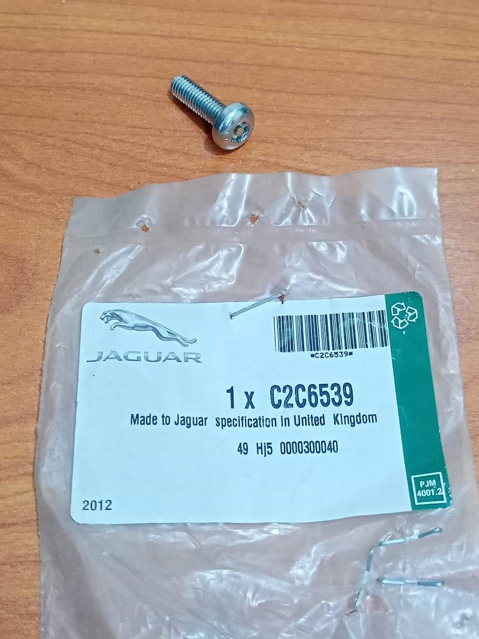 JAGUAR C2C6539 S-Type 1999-2008 Brake Disc Rotor Hub Shield Torx Mounting Screw