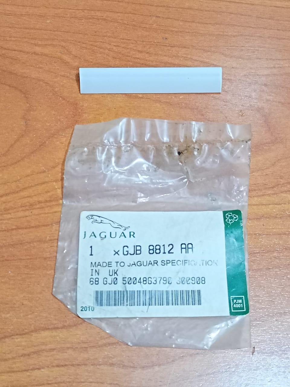 JAGUAR GJB8812AA XK8 XKR 1997-2006 Windshield Rear Window Glass Glazing Clip OE